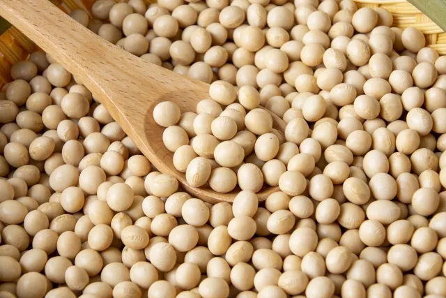 Soy Milk